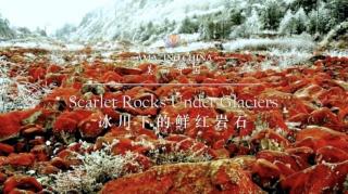 Apr.2 Hazel 4｜Scarlet Rocks Under Glaciers