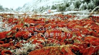 Mar.31 Hazel 4｜Scarlet Rocks Under Glaciers