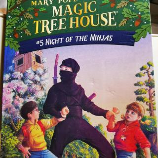 Night Of The Ninjas(2)