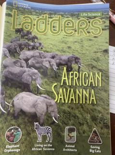 Apr6-kelly15-african savanna1