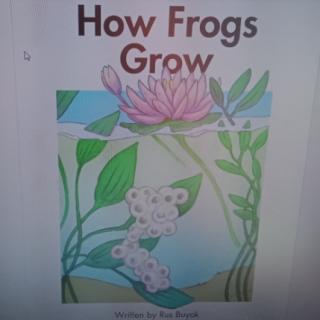 How frogs grow