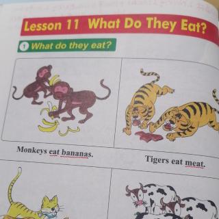 Lesson. 11. What. Do. They.  Eat?