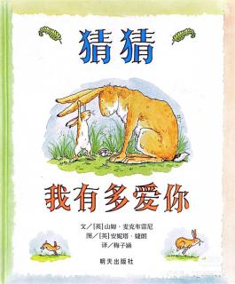 《猜猜我有多爱你》