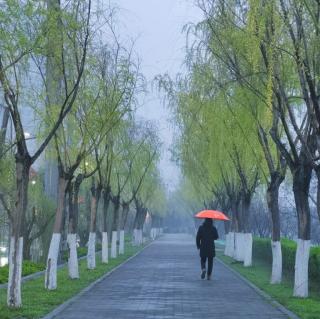 《雨中》董发亮