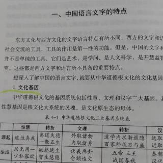 中国语言文字特点—文化基因之性慧基因