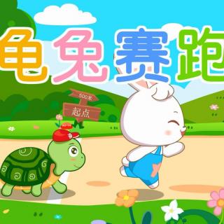 定远镇中心幼儿园宝宝电台—《龟兔赛跑》