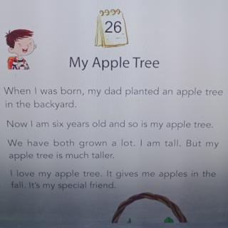 My Apple Tree