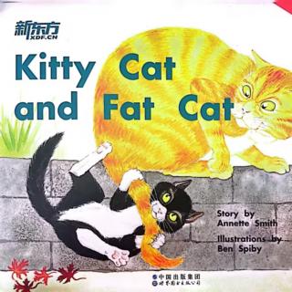Kitty cat and fat cat