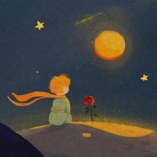 《the little prince》