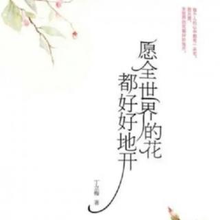 《那些年，指甲花开》