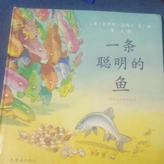 一条聪明的鱼