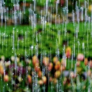 春日听雨，享受一份恬静