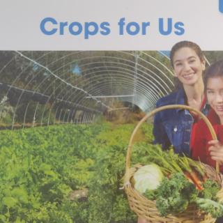 Crops for Us