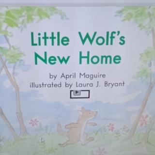 Little wolf's new home