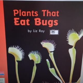 Plants that eat bugs