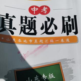 《中考真题》48《凤兮凰兮》