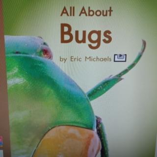 All about bugs