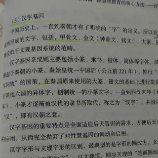 中国语言文字的特点—汉字基因