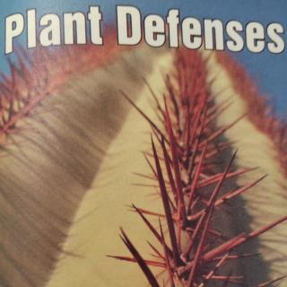 Plant Defenses