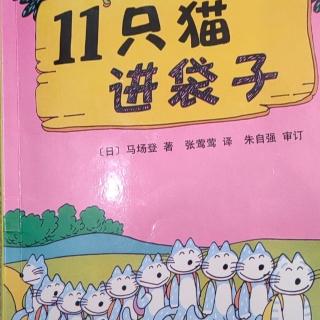 《11只猫进袋子》