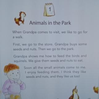 Animals in The Park