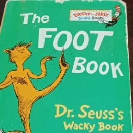 The foot book