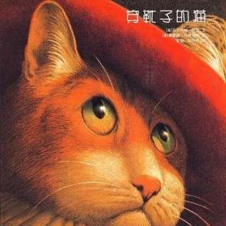 穿靴子👢的猫🐱