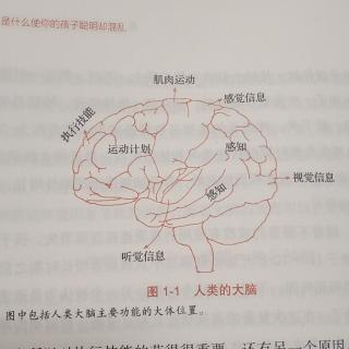 《聪明却混乱的孩子》1.2