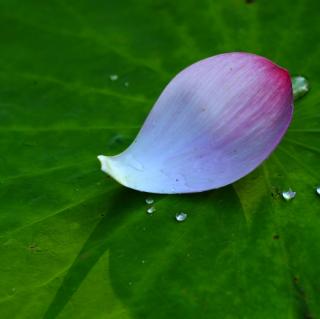 面朝大海春暖花开