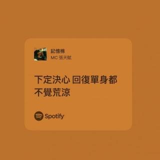 记忆棉—Katy