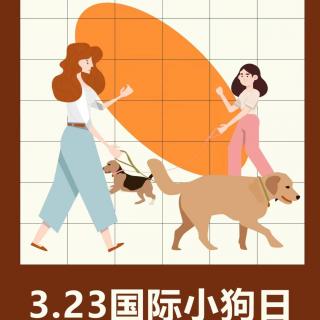 今年中华田园犬第一次走上电影影评，请准备好擦脸巾奥！