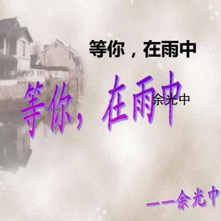 《等你，在雨中》王丽英