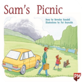 Sam's picnic重点摘要