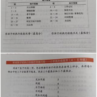 4—5年级问卷调查