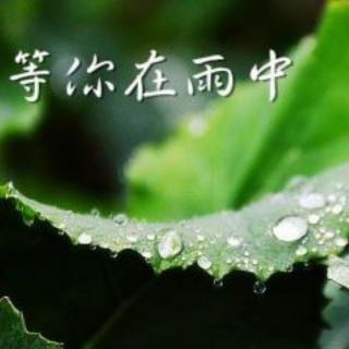 等你，在雨中