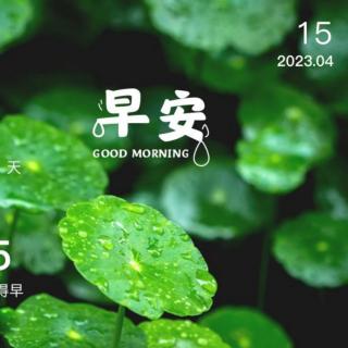 2023.4.15《黄帝内针》第一章