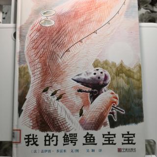 《我的鳄鱼宝宝》