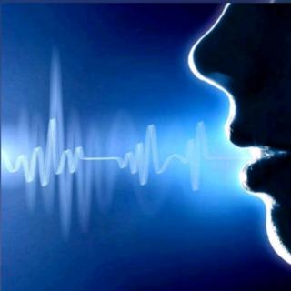 基础语音训练～声调（来自FM450253）
