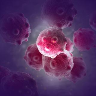 癌细胞“长生不死”背后原来是它的作用！