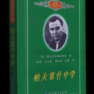 10.帕夫雷什中学——84页