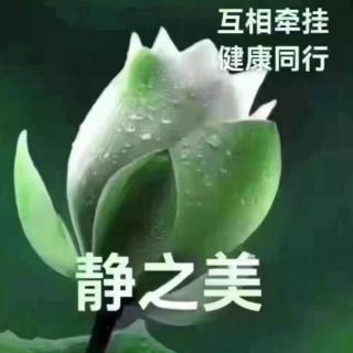 最好的告别 美 阿图 葛文德205