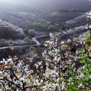 我在等你   诵读山无陵