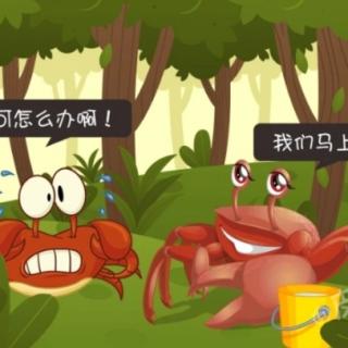 《小螃蟹很勇敢》