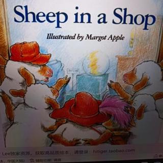 Sheep In A Shop