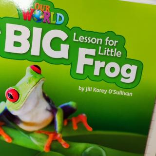 Little Frog 录音