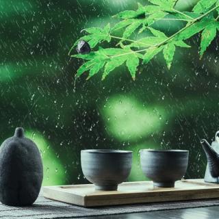 [生活感知]谷雨：心有希望正葱茏