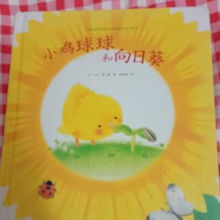 小鸡球球和向日葵