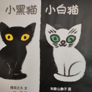 小黑猫小白猫