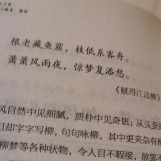 赋得江边柳