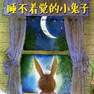 经典咏流传——府幼故事汇第193期《睡不着觉的小兔子》